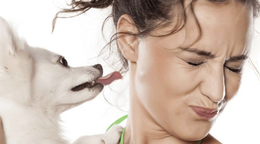 How Can I Eliminate Dog Breath Fast? How Can I Eliminate Dog Breath Fast?