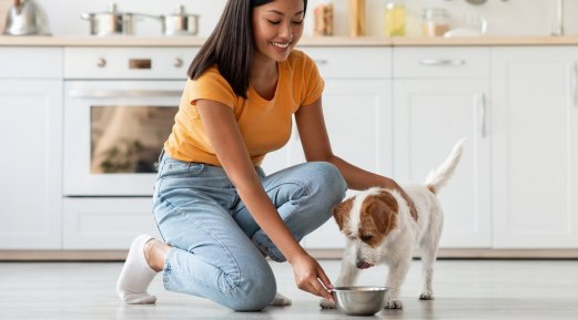 Requirements for Nutrition in Your Pet