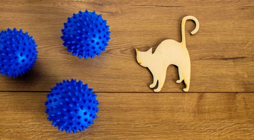 Risks Factors and Prevention Tips for Feline Coronavirus Risks Factors and Prevention Tips for Feline Coronavirus