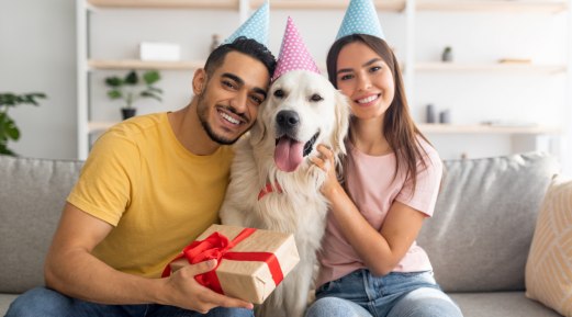Unwrap Joy with Bio-PetActiv's Best Selection of Holiday Gifts for Pets Unwrap Joy with Bio-PetActiv's Best Selection of Holiday Gifts for Pets