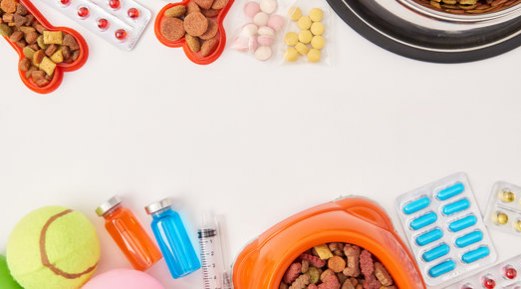 How Can Supplements Help Your Dogs to Stay Healthy and Active How Can Supplements Help Your Dogs to Stay Healthy and Active
