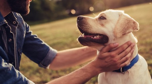 Tips to Prevent and Manage Canine Parvovirus Tips to Prevent and Manage Canine Parvovirus