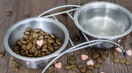 Top Three Reasons to Love Oxyfresh Dog Water Additive Top Three Reasons to Love Oxyfresh Dog Water Additive