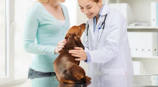 Enhance Patient Wellness and Practice Health with a Tracking System Enhance Patient Wellness and Practice Health with a Tracking System