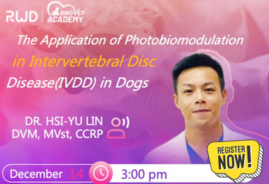 The Application of Photobiomodulation in Intervertebral Disc Disease(IVDD) in Dogs