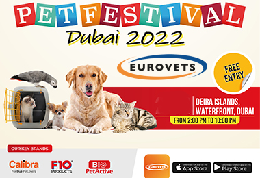 Dubai Pet Festival