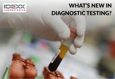 What’s new in diagnostic testing?