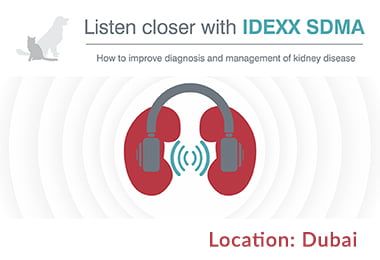 How to improve diagnosis and management of kidney disease- (Dubai)