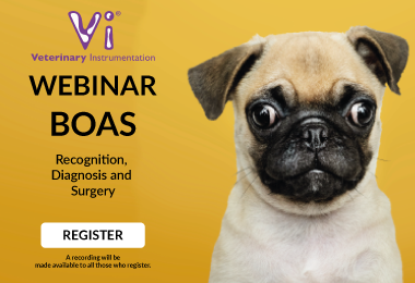 Webinar: BOAS – Recognition, Diagnosis and Surgery