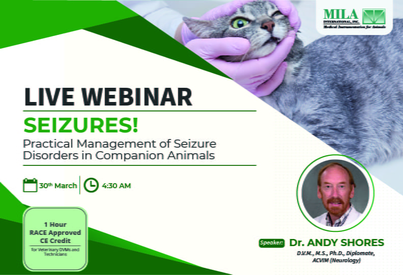 Practical Management of Seizure Disorders in Companion Animals - Webinar