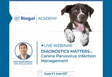 Canine Parvovirus Infection Management