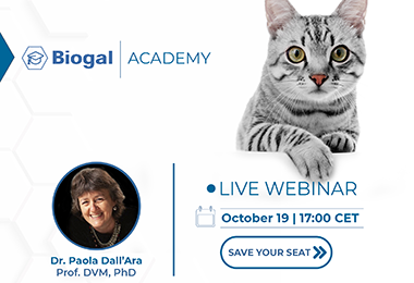 Webinar: Feline Vaccination from Kittens to Senior Cats: Tricks & Hoaxes