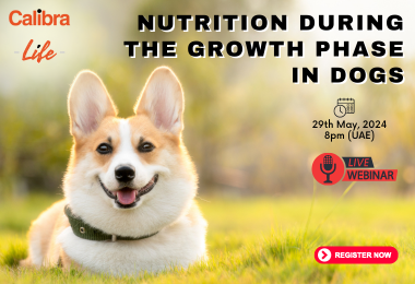 Webinar: Nutrition during the growth phase in dogs