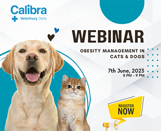 Webinar: Obesity Management in Cats & Dogs