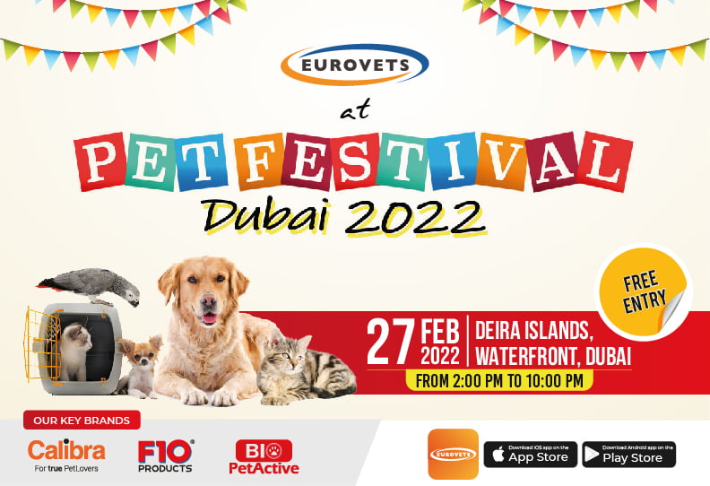 Dubai Pet Festival - 2022