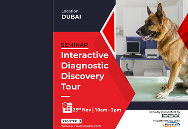 Dubai: Interactive Diagnostic Discovery Tour