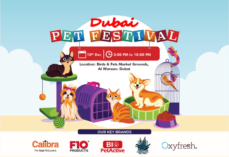 The Dubai Pet Festival 2021