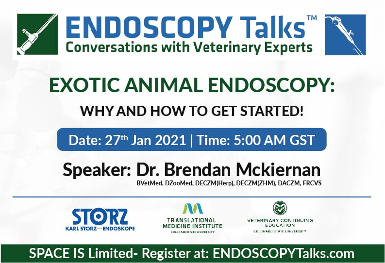 Exotic animal endoscopy: why and how to get started