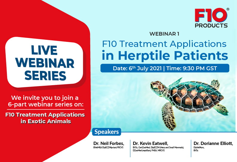 F10 Treatment Applications in Herptile Patients - Webinar