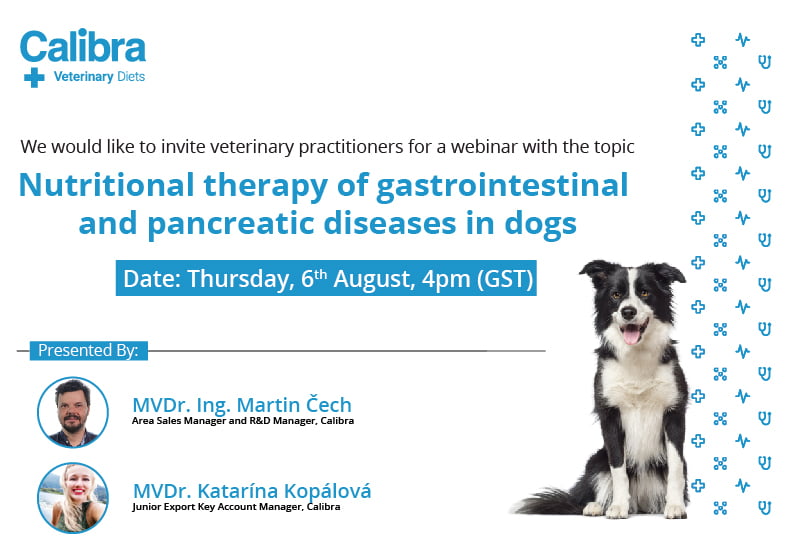 Calibra VD Webinar | Nutritional therapy of gastrointestinal and pancreatic diseases in dogs