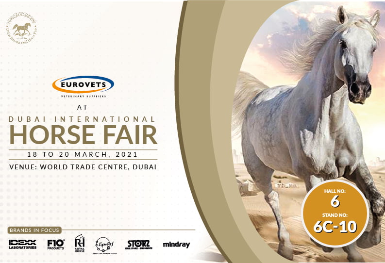 Dubai International Horse Fair 2020
