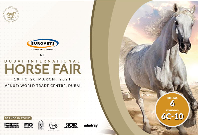 Dubai International Horse Fair 2021