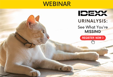 Webinar: Urinalysis: See What You’re Missing