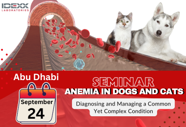 Understanding Anemia in Dogs and Cats: From Diagnosis to Treatment