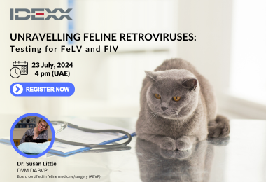 Webinar: Unravelling Feline Retroviruses: Testing for FeLV and FIV