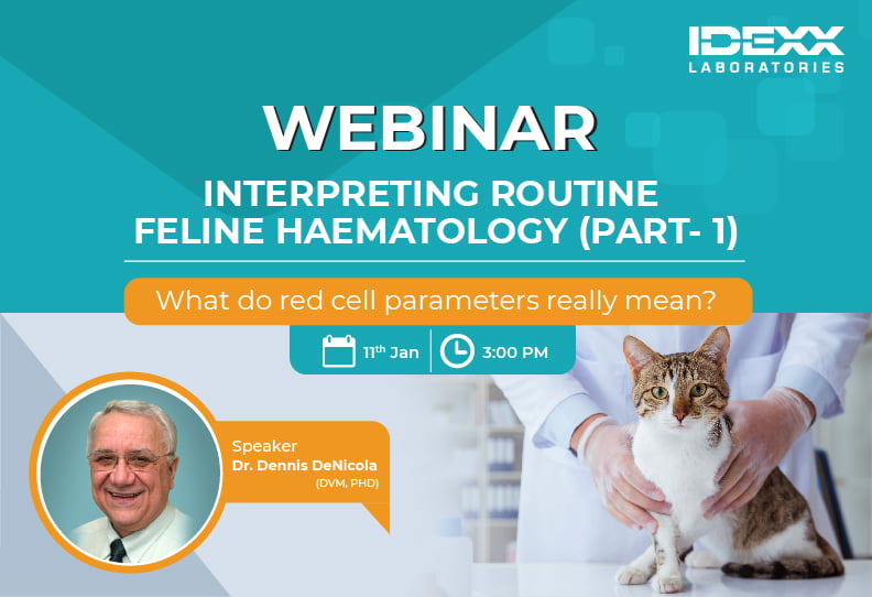 Interpreting routine feline hematology (Part 1)