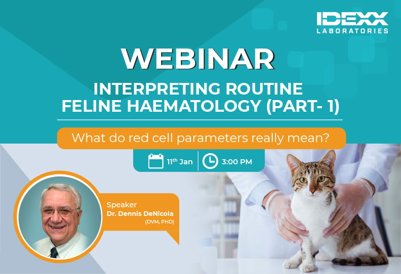 Interpreting routine feline haematology (Part 1)