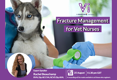 Fracture Management for Vet Nurses