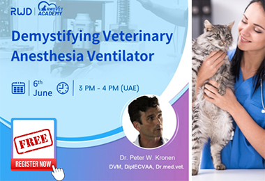 Demystifying Veterinary Anesthesia Ventilator