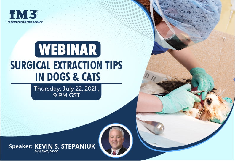 Surgical Extraction Tips in Dogs & Cats - Webinar
