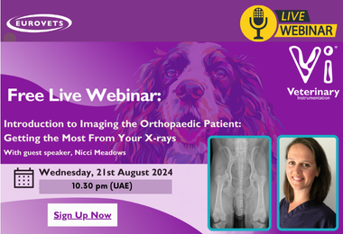 Webinar: Introduction to imaging the Orthopedic Patient