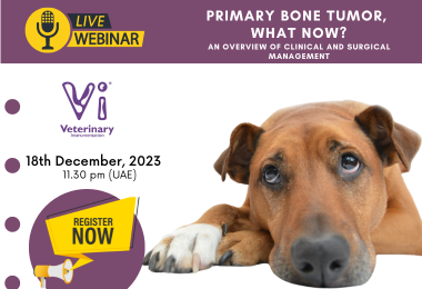 Webinar: Primary Bone Tumor: What Now?