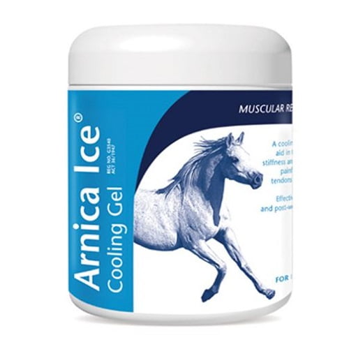 Arnica Ice Gel 475g Arnica Ice Gel 475g