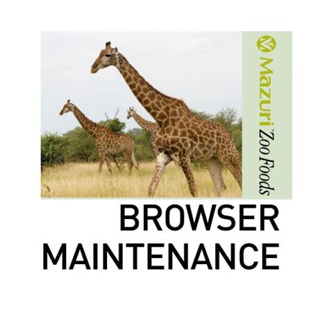 Browser Maintenance Browser Maintenance