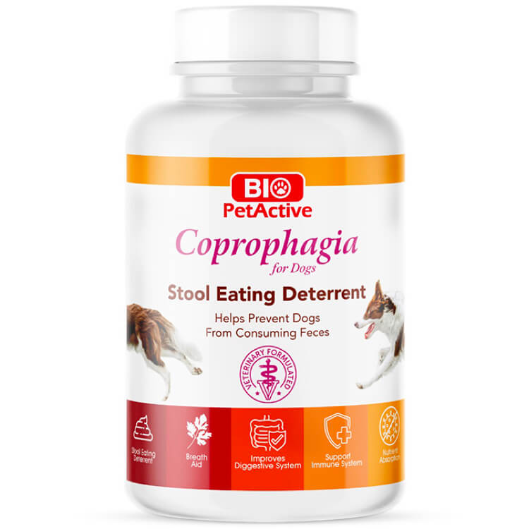 Coprophagia - Stool Eating Deterrent for Dogs