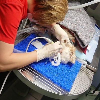 iM3 Dental Mat iM3 Dental Mat