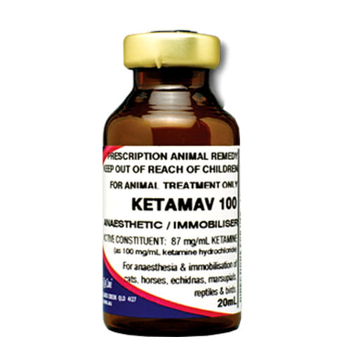 Ketamav Injection