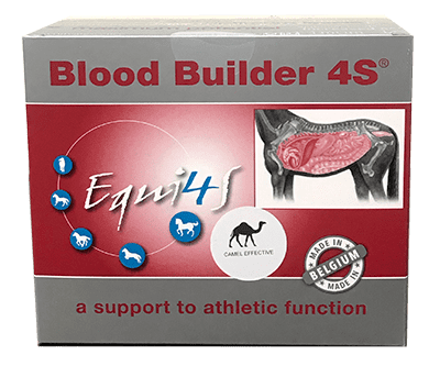 Blood Builder Sachets 12x30g