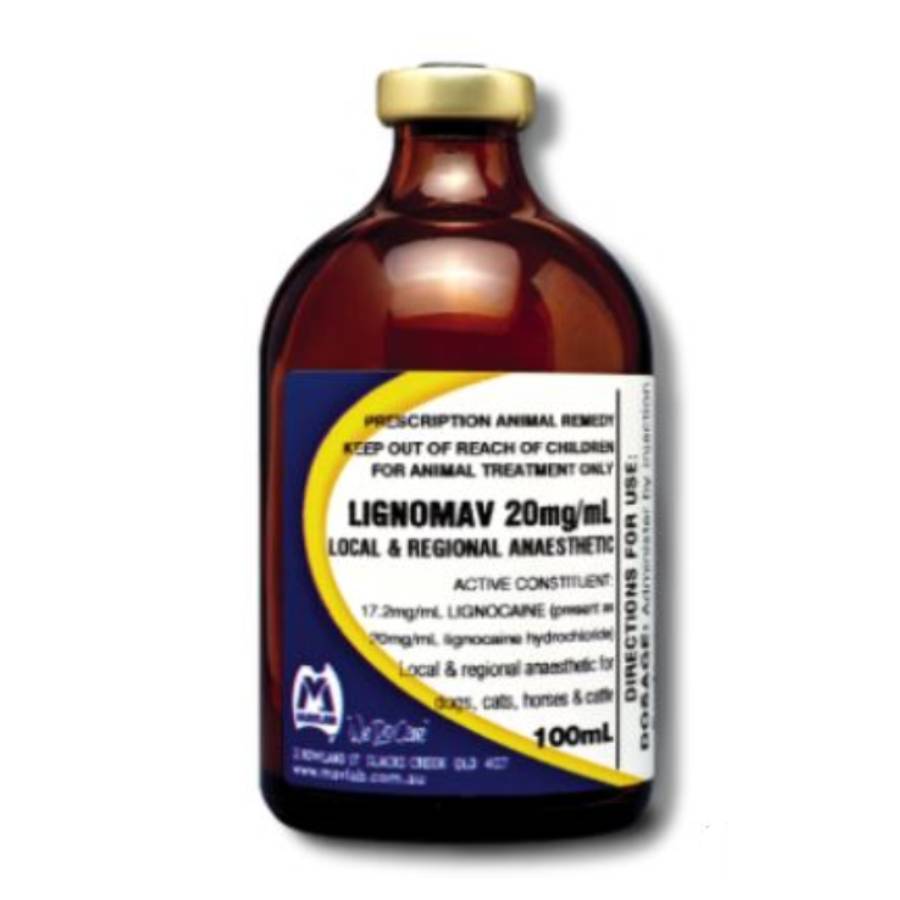 Lignomav 2% Injection Lignomav 2% Injection