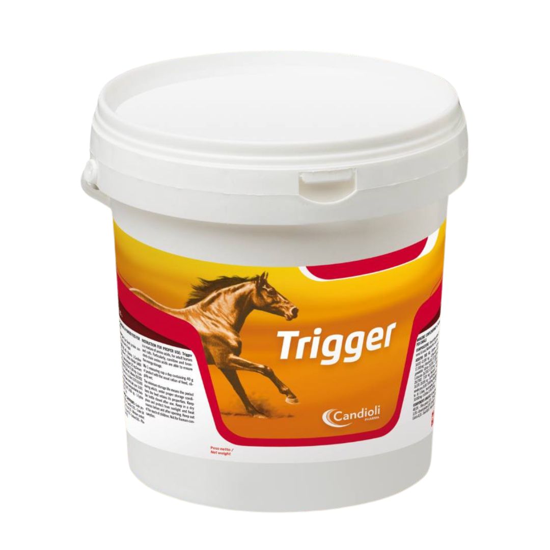 Trigger Supplement Trigger Supplement