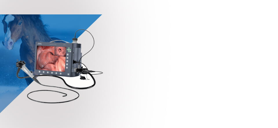 Karl Storz Endoscopy