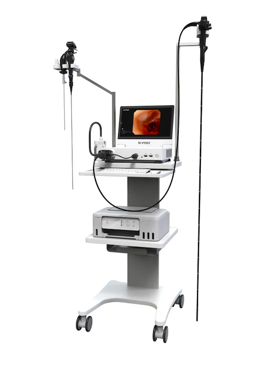 VPH-1315 Veterinary Endoscopy Image Processor VPH-1315 Veterinary Endoscopy Image Processor