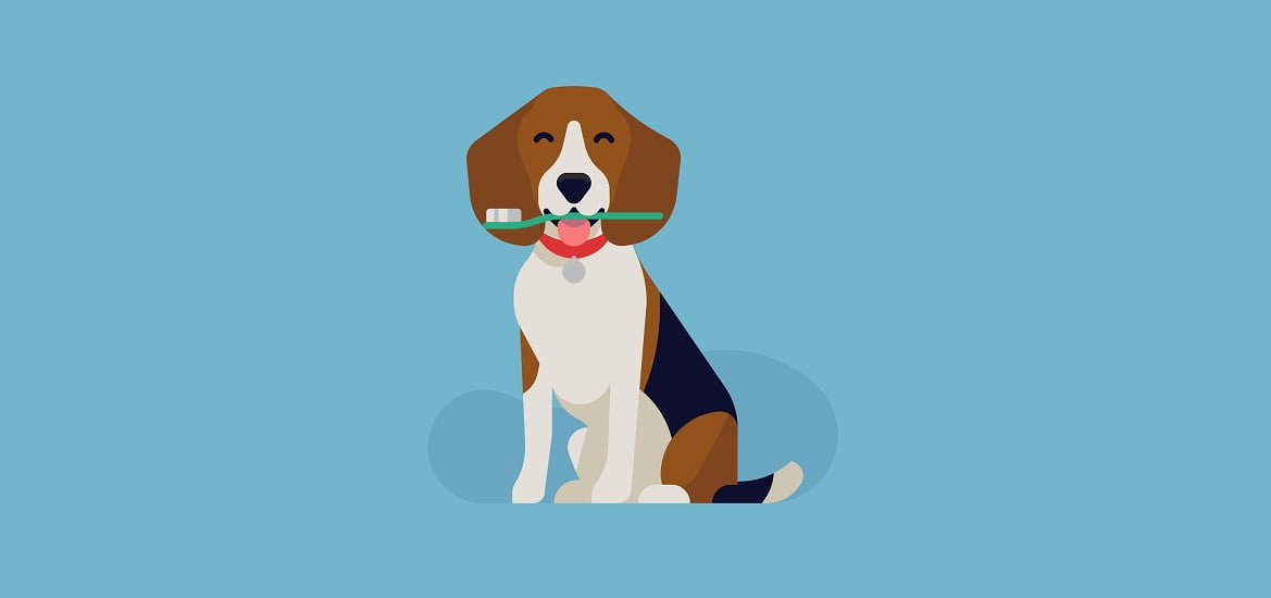  Maintaining proper oral health