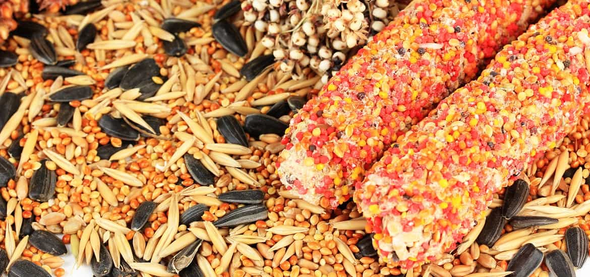 Nutrition for Seed-Eating Birds