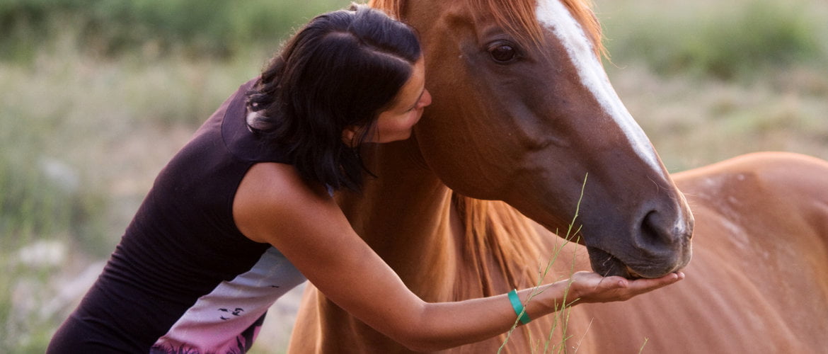 The Horse Enjoy Health Food