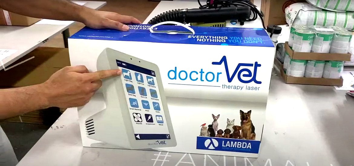 Laser therapies for pets «DoctorVet»